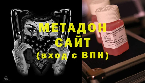 ПСИЛОЦИБИНОВЫЕ ГРИБЫ Гусев