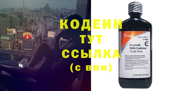 ПСИЛОЦИБИНОВЫЕ ГРИБЫ Гусев