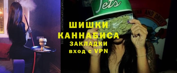 мдпв Дмитров