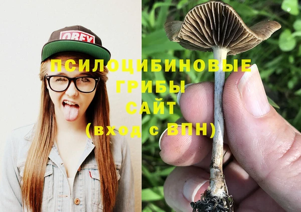 мдпв Дмитров