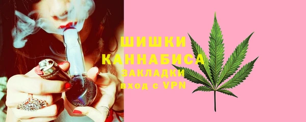 ПСИЛОЦИБИНОВЫЕ ГРИБЫ Гусев