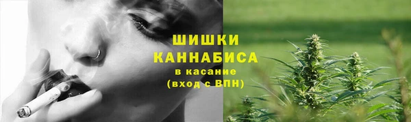 мдпв Дмитриев