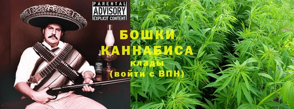 мдпв Дмитриев