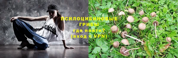 трава Гусь-Хрустальный
