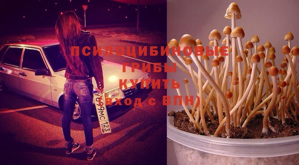 таблы Гусиноозёрск