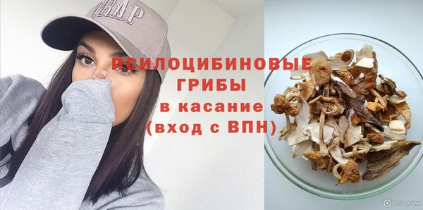 мдпв Дмитриев