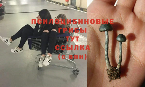трава Гусь-Хрустальный