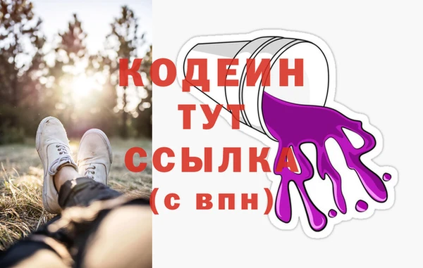мдпв Дмитриев