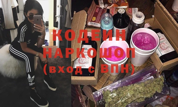 ПСИЛОЦИБИНОВЫЕ ГРИБЫ Гусев